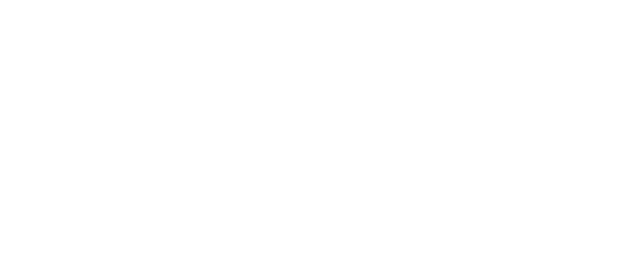 Lisvi